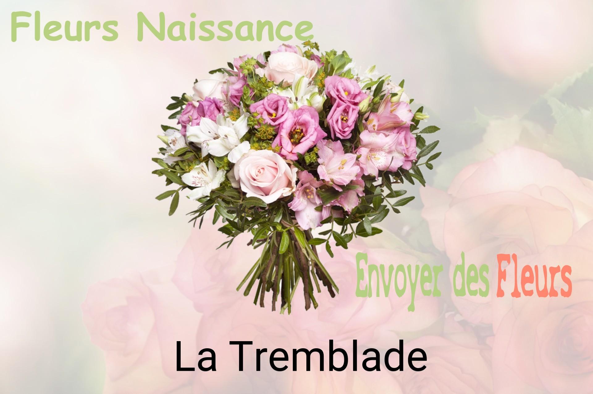 Bouquet de fleurs de naissance livré à La Tremblade